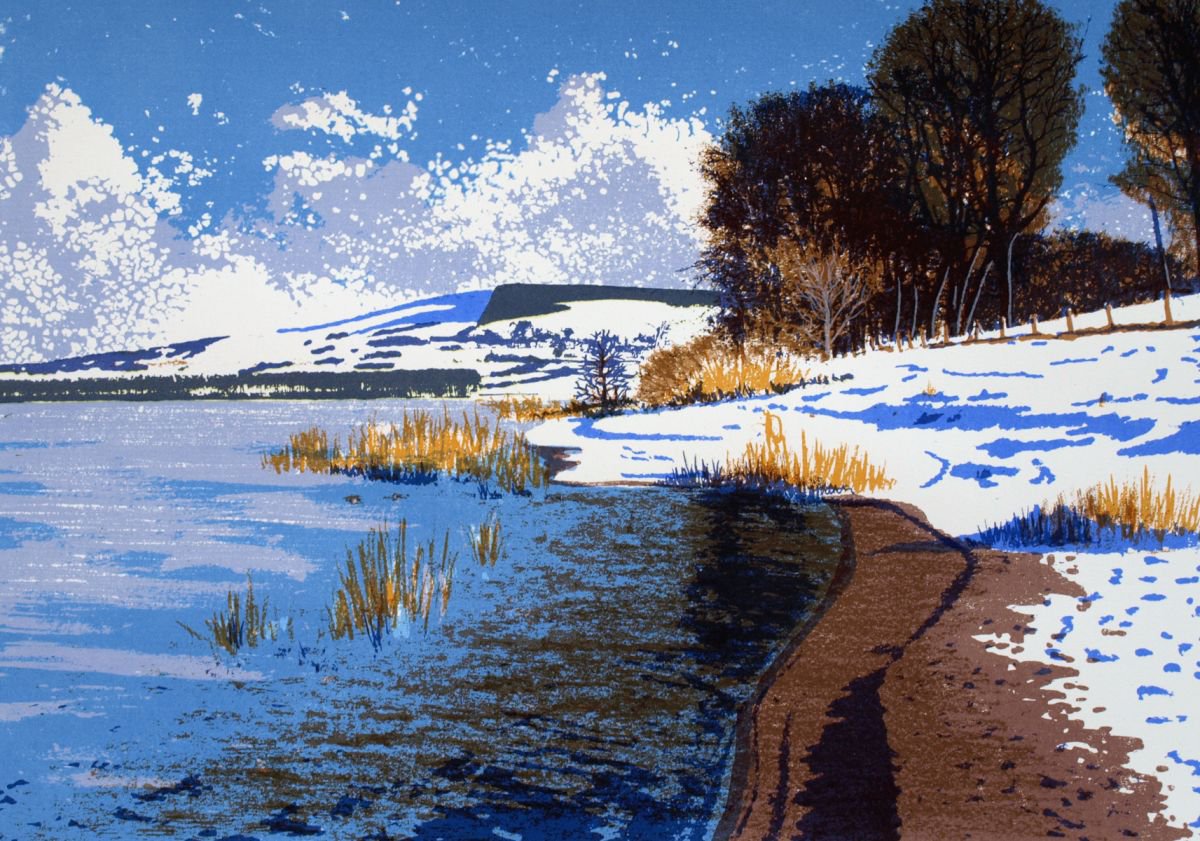 Winter Sunlight, Blessington Lake. by Aidan Flanagan Irish Landscapes