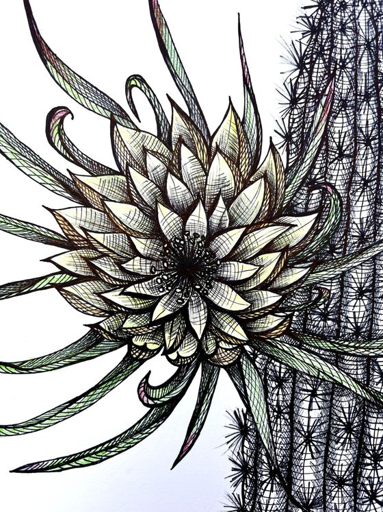 YELLOW CACTUS FLOWERS