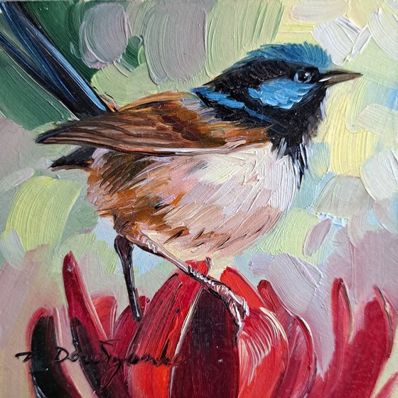 Fairywren bird painting