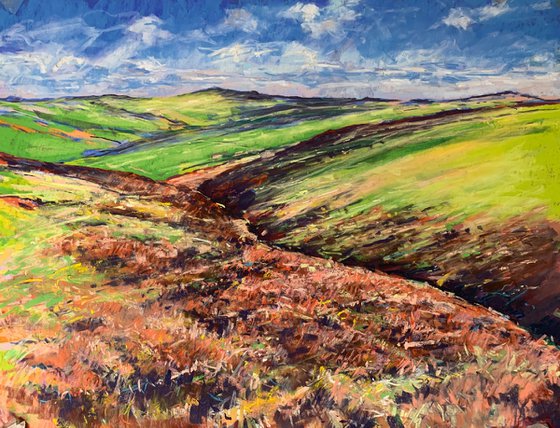 Moorland, Pateley Bridge