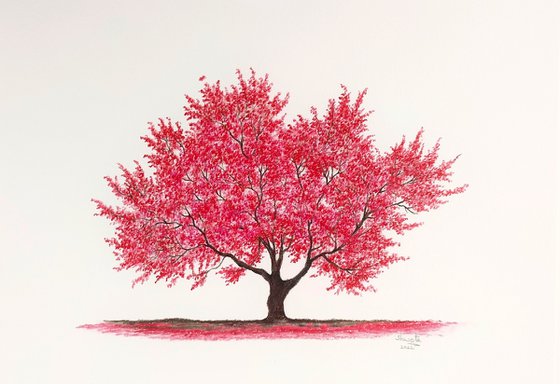 Crabapple tree II