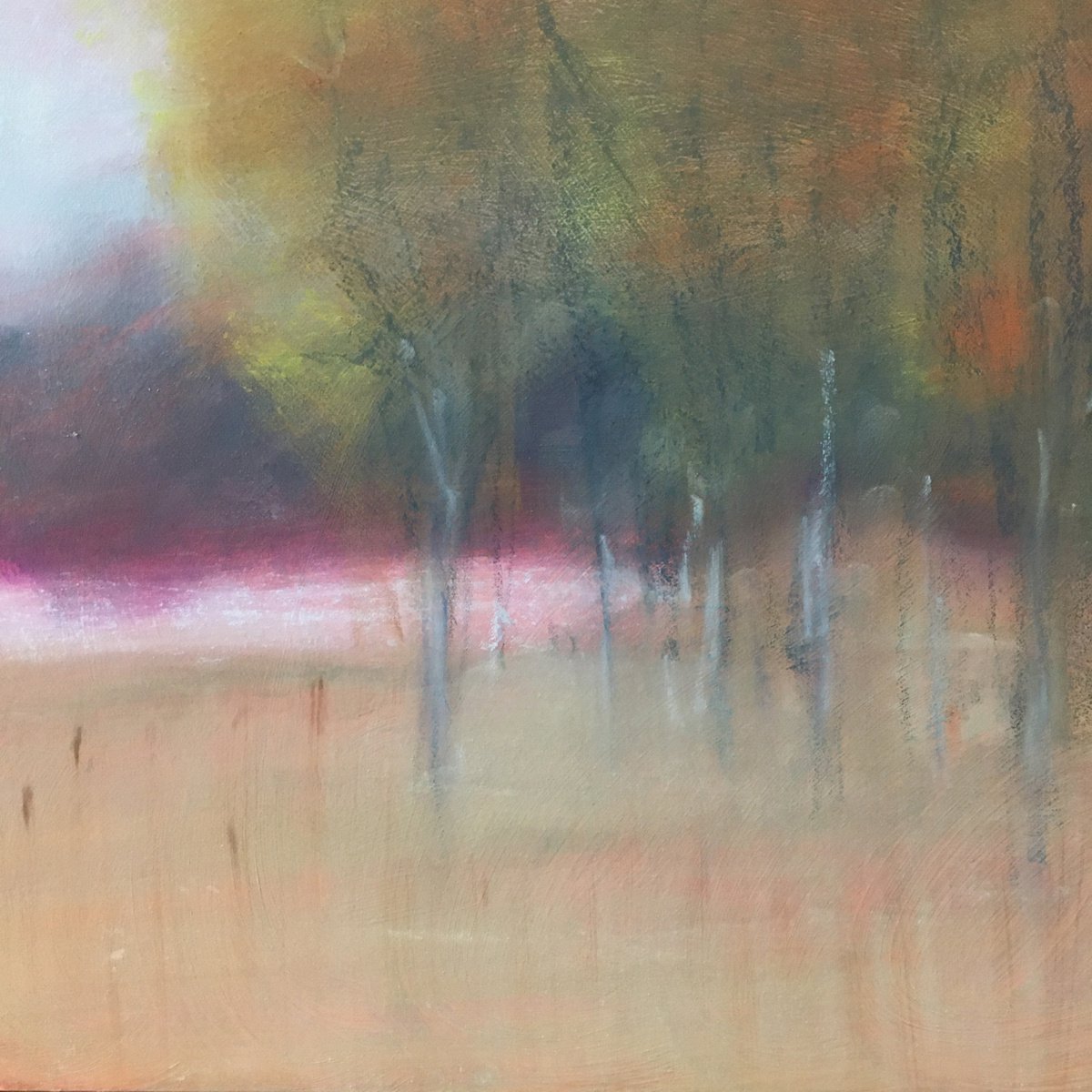 Birches at Sunset by Karen Beauchamp