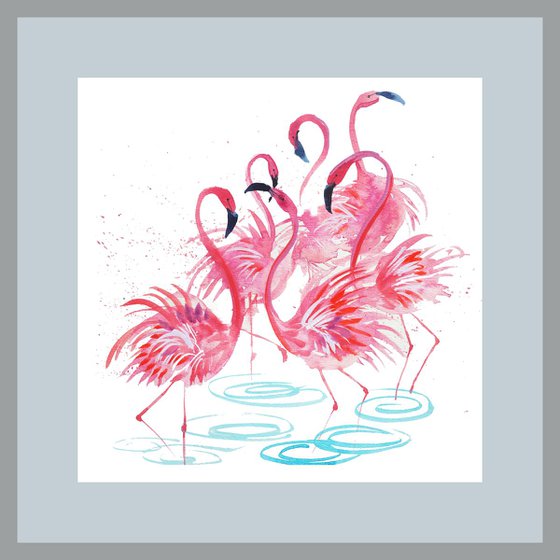 Flamingos