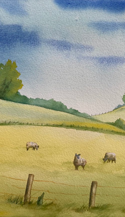 Summer pasture in Shropshire by Silvie Wright