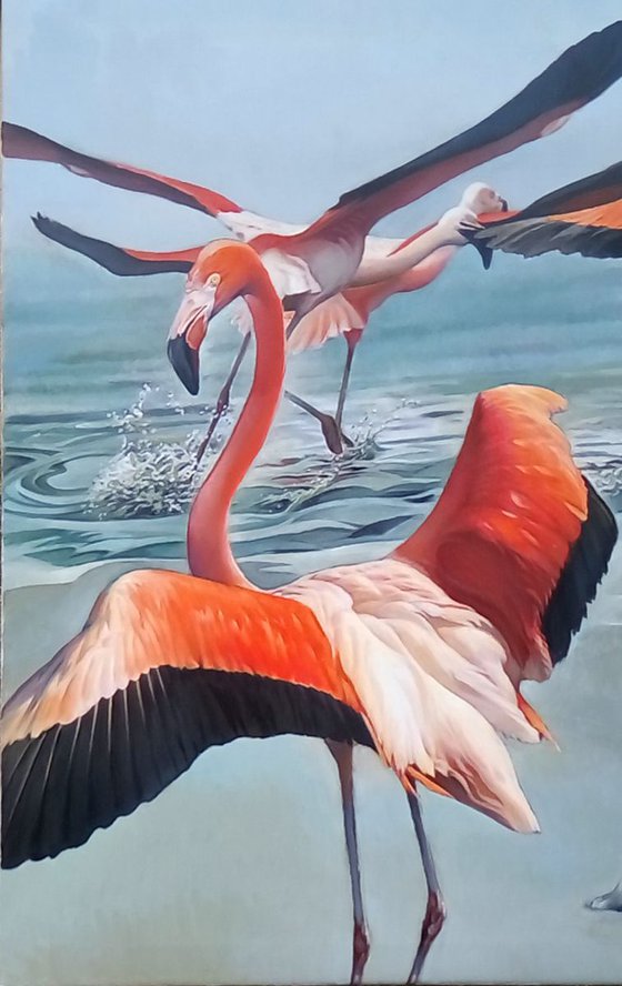 Dancing with Flamingos