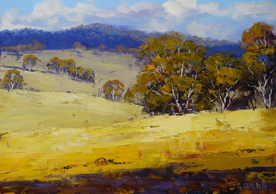 Summer Australian Landscape