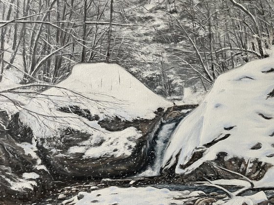 Veins of the Earth - Winter Landscape