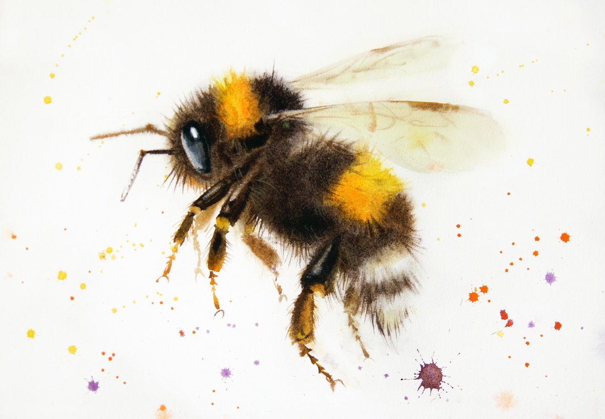 Bumblebee - Flutterby Bumblebee by Olga Beliaeva Watercolour