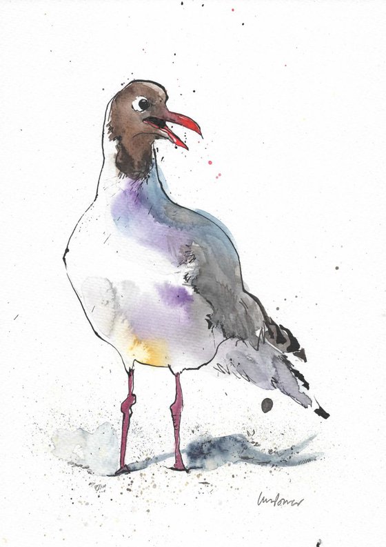 Black Headed gull #02