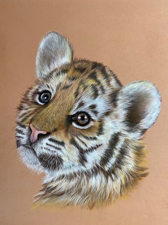 Tiger cub