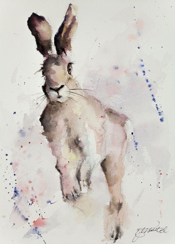 Young Hare