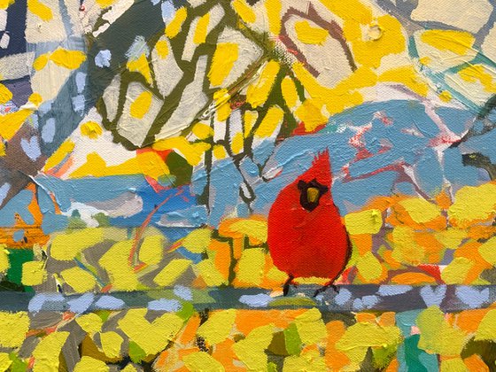 Mr Cardinal On A Bright Sunny Day