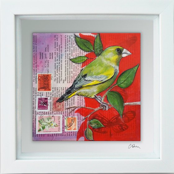 Greenfinch - Ornithology#4 - Framed ready to hang original painting