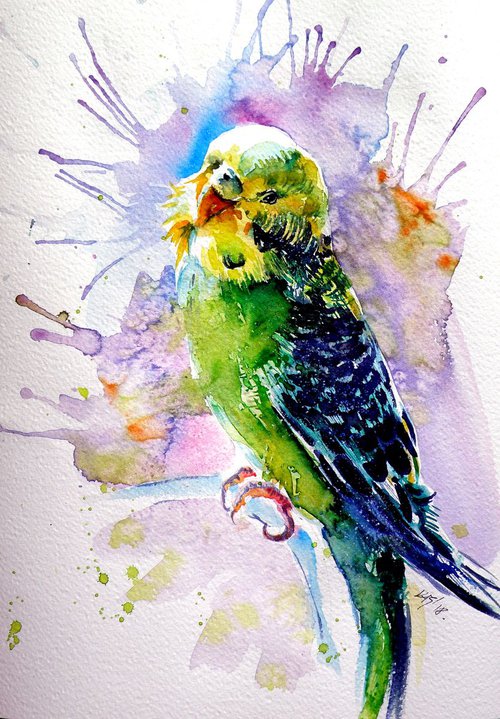 Lovely parrot by Kovács Anna Brigitta