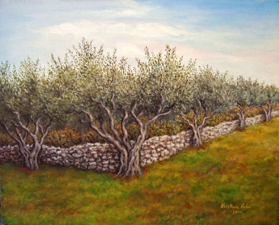 Olive trees