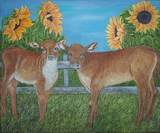 Calves and Sunflowers