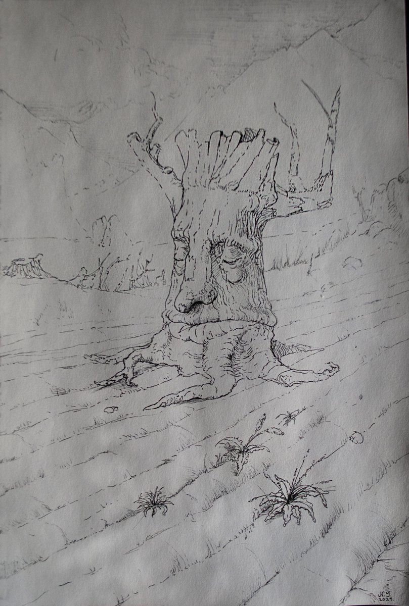 Illustrative Ink Drawing , A Lone Treant By Nikola Ivanovic, 8 X 12, Artwork For Sale On Artfinder