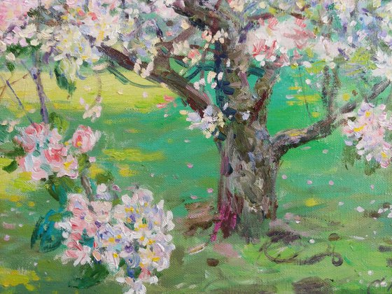 Morning in the spring garden.