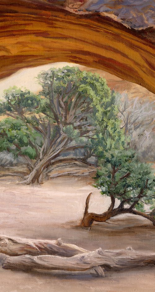 Navajo Arch by Steph Moraca