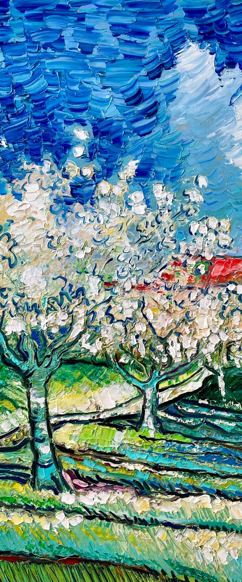 Cherry blossoms by Roman Sleptsuk