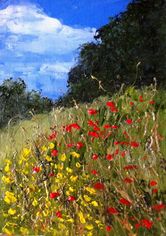 Wild meadow