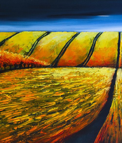 Traces and Fields - Fields and Colors Series by Danijela Dan