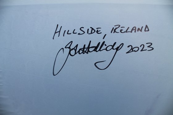 Hillside, Ireland 2023
