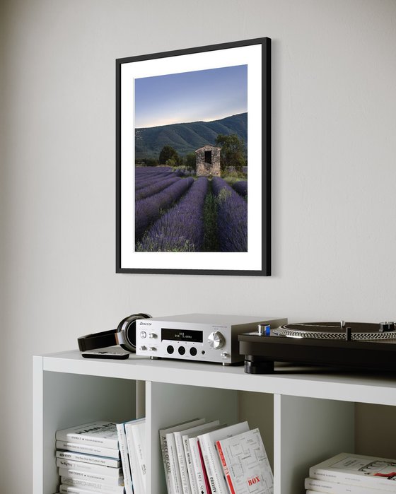 THE SUNSET OF PROVENCE