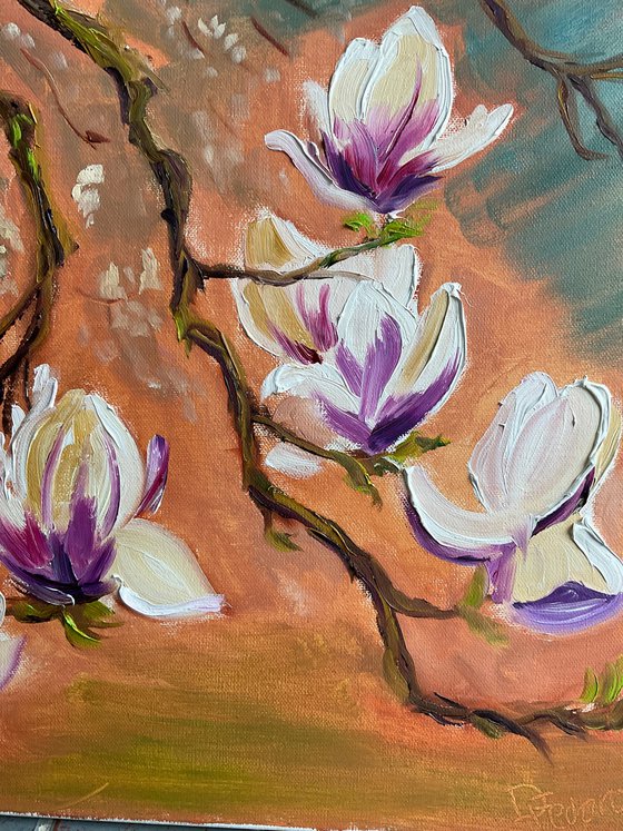 Dutch Magnolia