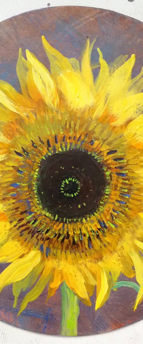 "Sunflower" tondo canvas by Anna Silabrama