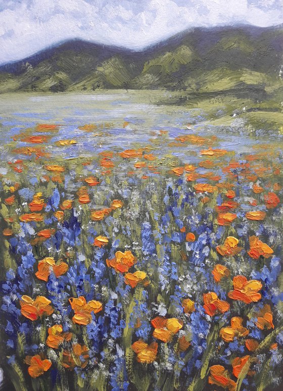 Orange poppy field