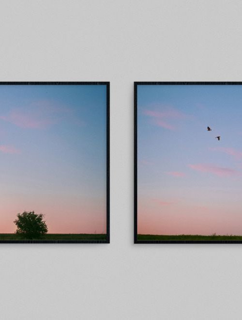 On earth and in the sky (Diptych) by Julia Gogol