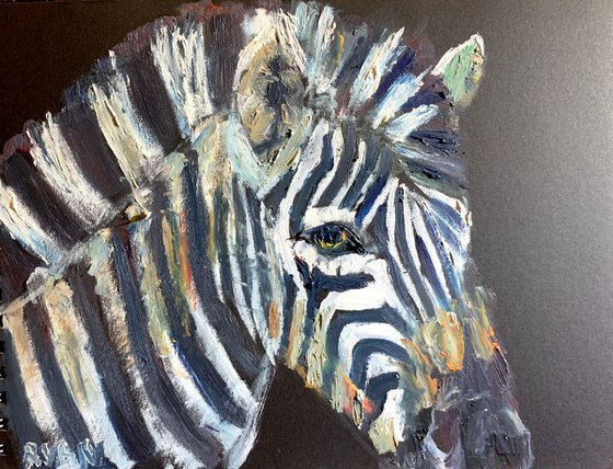 Zebra