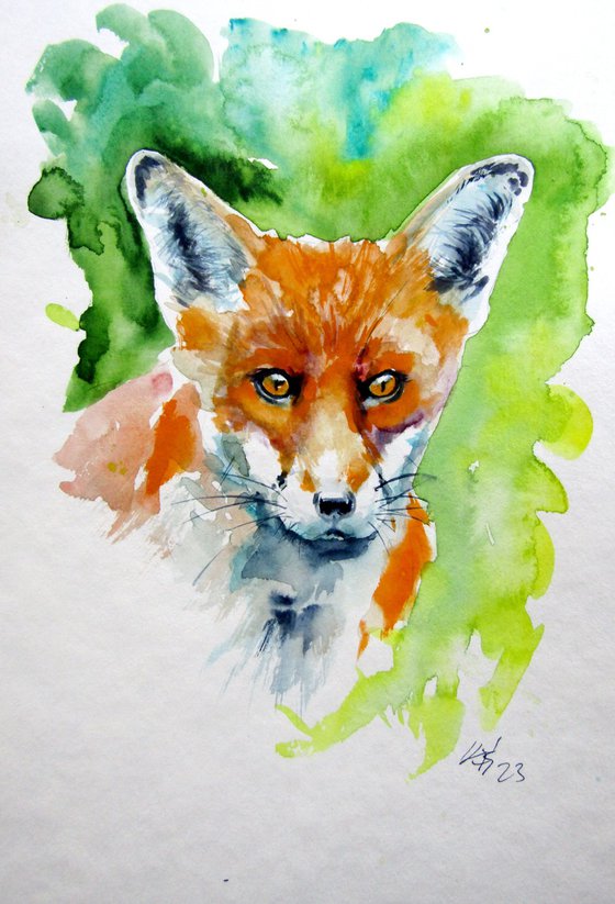 Cute red fox portrait