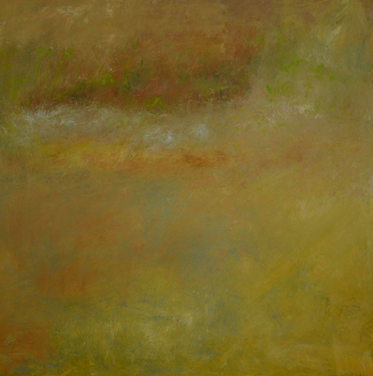 Green Spanish Moss by Fancher Brinkmann