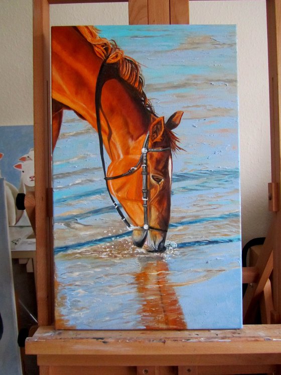 Horse at Sunset