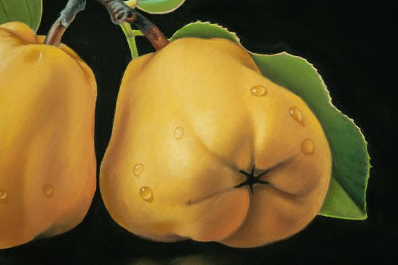 Two Quinces on a Twig