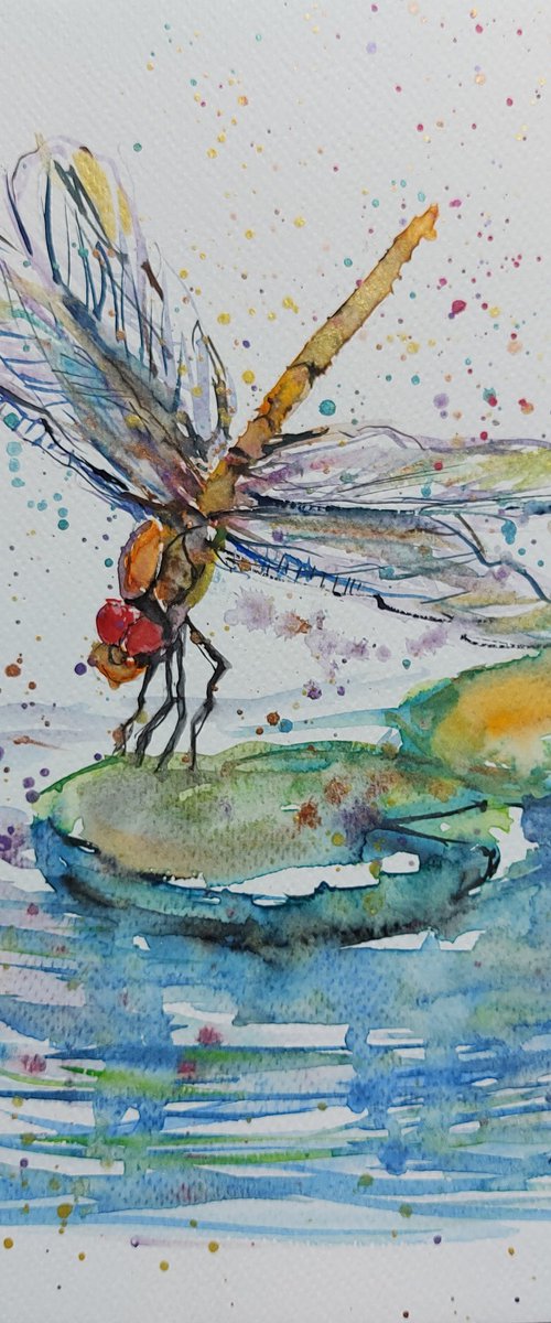 Dragonfly in the pond by Silvia Flores Vitiello