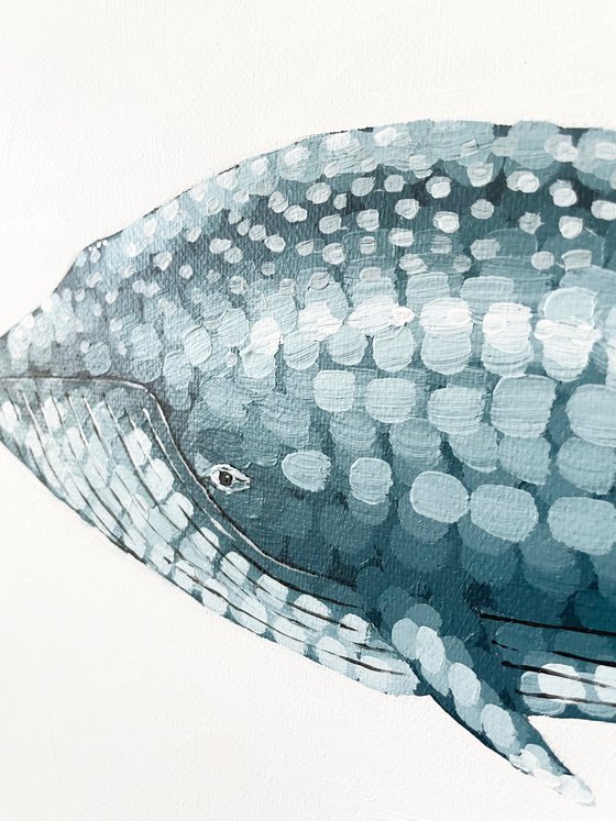 Blue Whale