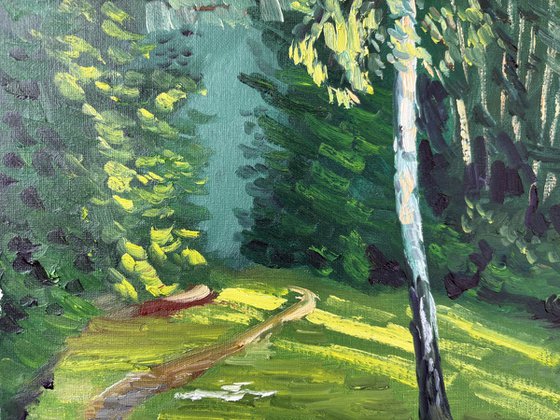 Evening Light on the Birch Tree
