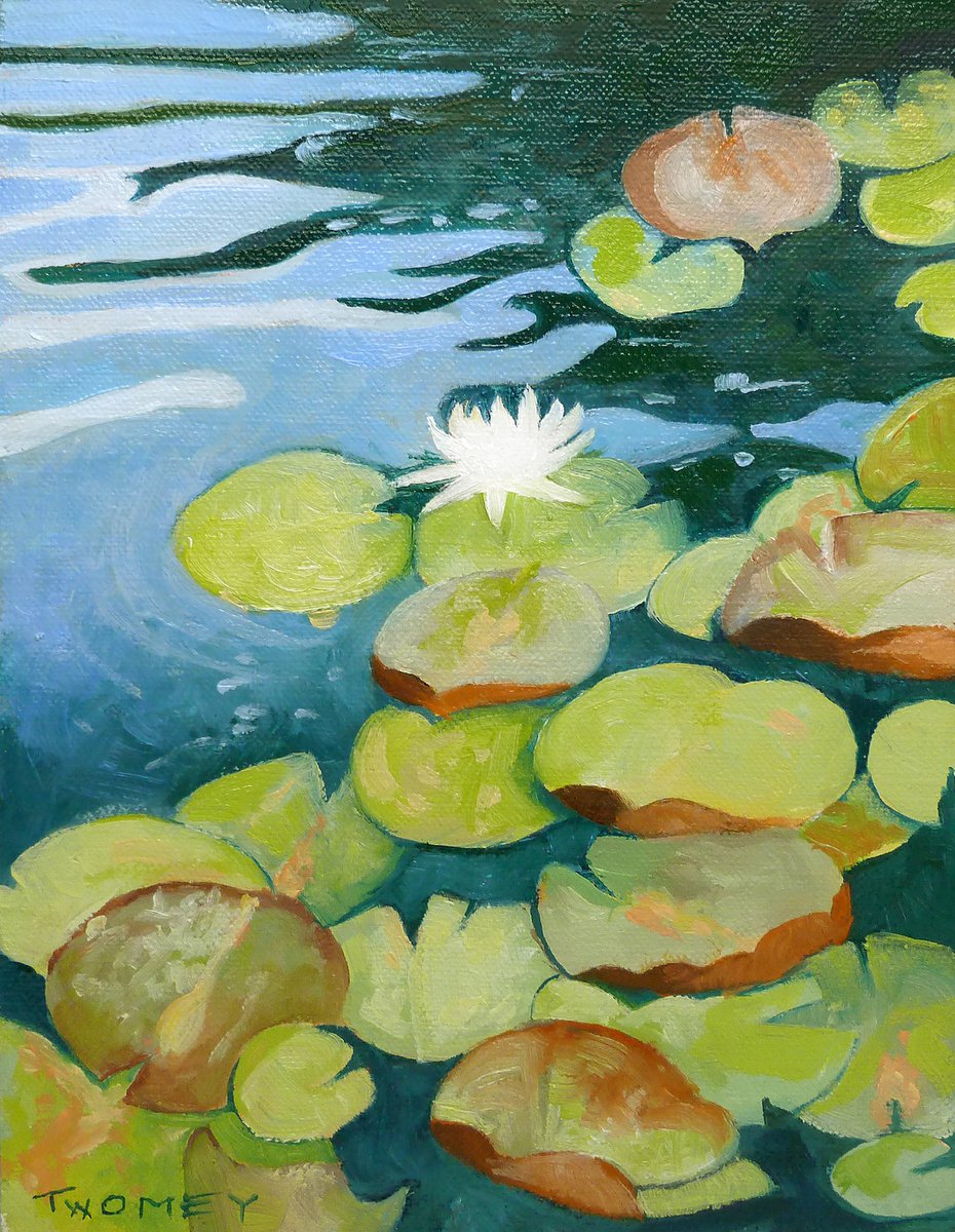 Waterlily Independence by Catherine Twomey