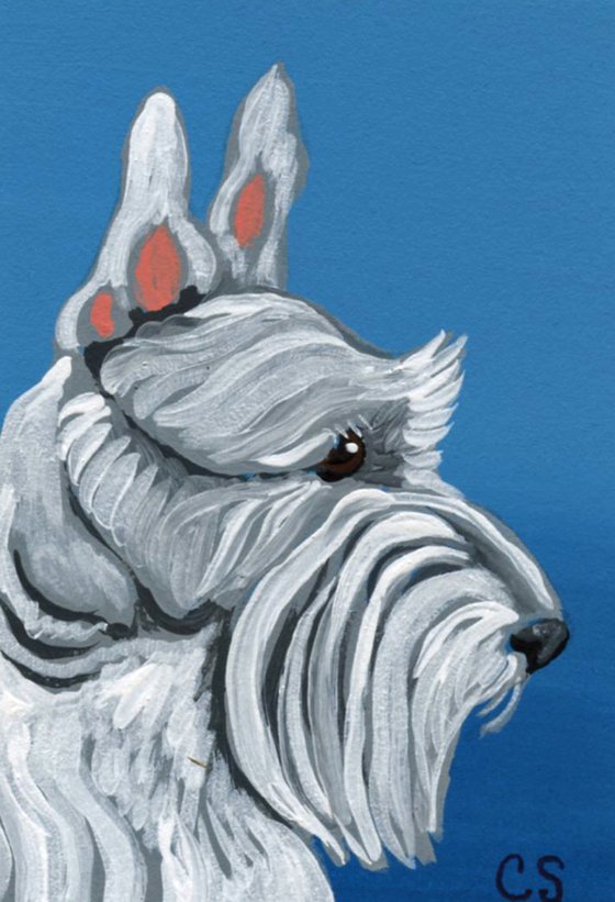 ACEO ATC Original Miniature Painting White Scottish Terrier Pet Dog Art-Carla Smale