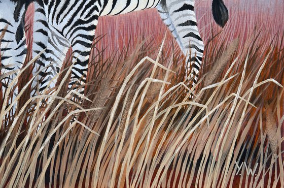 Zebra and Colt