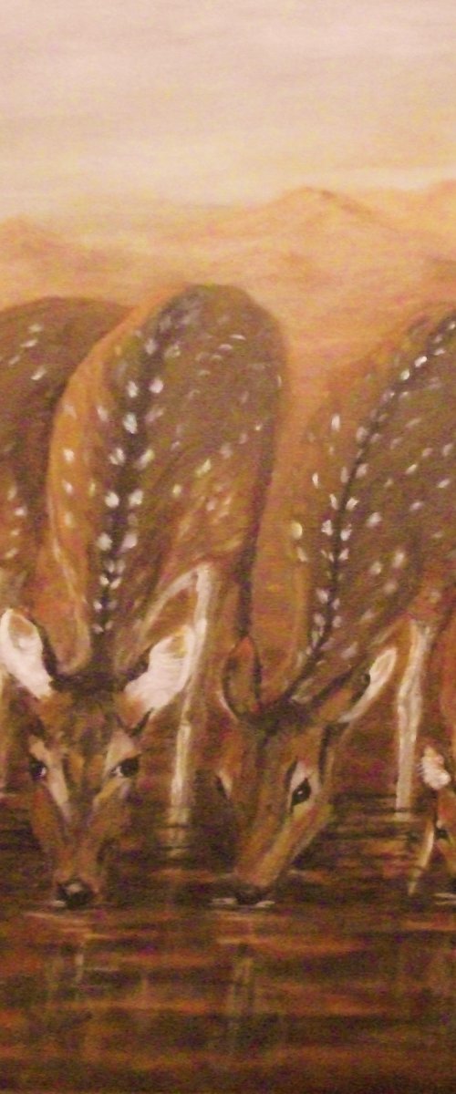 SPOTTED DEER by Lynda Cockshott