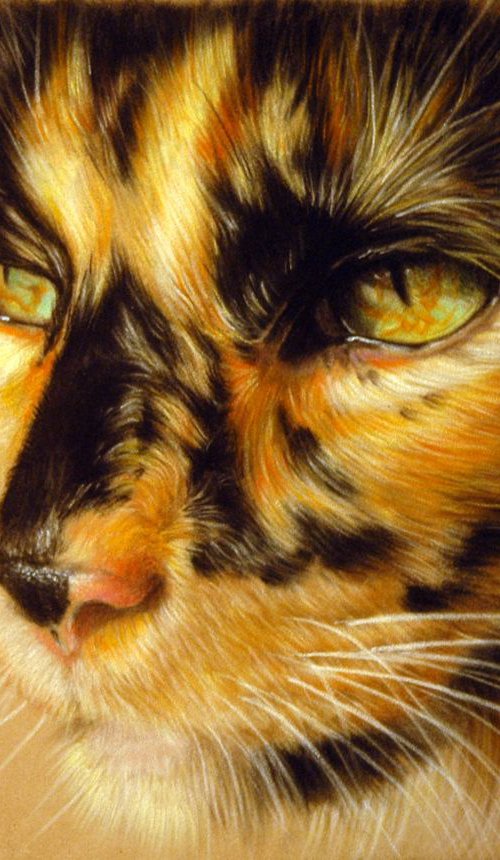American Art Awards Winner "Tortoiseshell Cat" by Danguole Serstinskaja