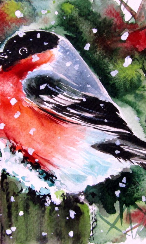 Bullfinch by Kovács Anna Brigitta