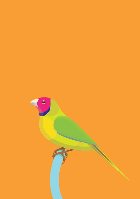 Graphic Finch (small)
