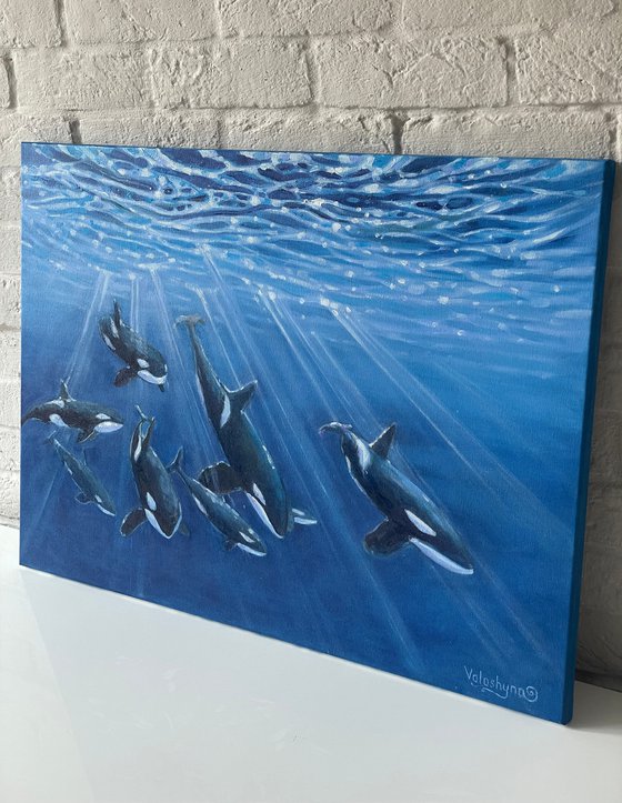 The flock of killer whales. Original oil painting