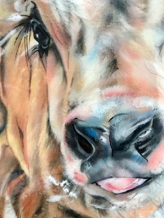 Snow, Cow calf original oil painting, Resin 16x12"