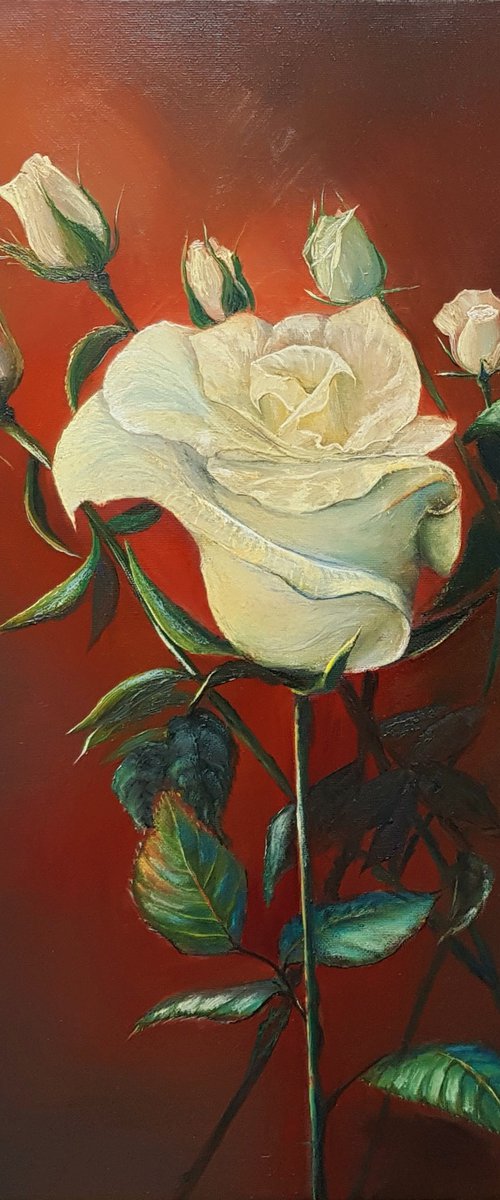 Red and White by Vladimir Jarmolo